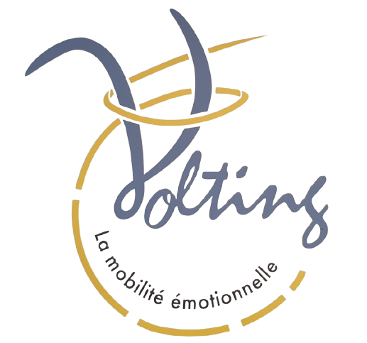 Logo Volting